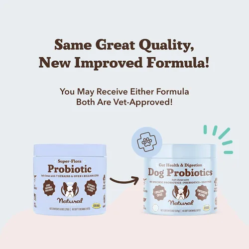 Vista 6 de Natural Dog Company Probióticos para perros: masticables probióticos para perros con UFC 1B, cepas microencapsuladas específicas caninas