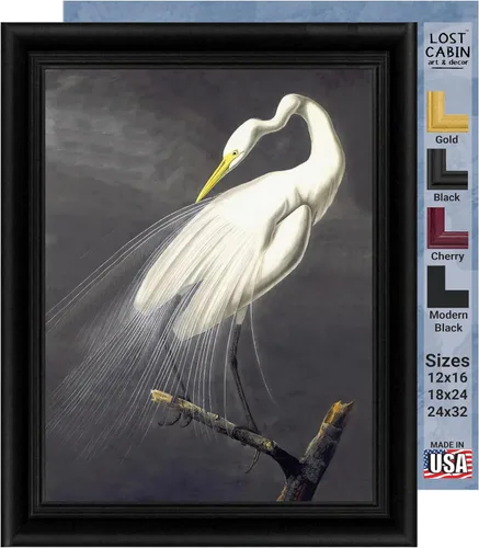Vista 16 de Lost Cabin American Flamingo por James Audubon Impresión en marco biselado negro Reproducción de pintura de obras de arte finas Póster