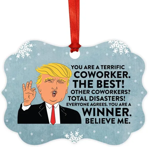 Vista 136 de Andaz Press Presidente Donald Trump Fancy Frame Recuerdo Adorno de Navidad Regalo de broma Ejecutivo de Cuenta, 1 paquete, Divertidas Ideas