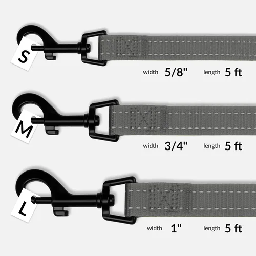 Vista 6 de CollarDirect Correa para perro duradera para mascotas, para caminar, entrenar y correr para pequeña, mediana y grande