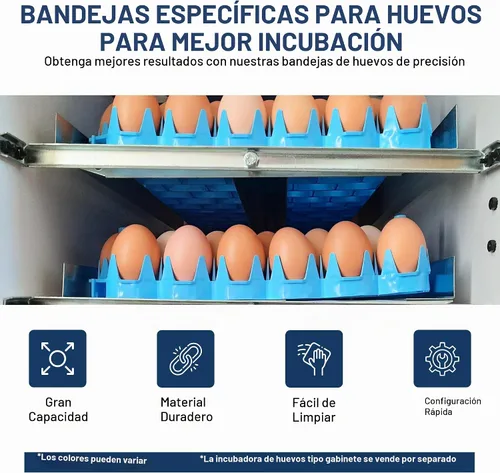 Vista 2 de Bandejas universales para huevos de pollo (paquete de 6)