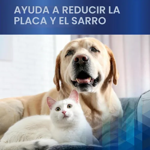 Vista 2 de Clenz-A-Dent ProDen PlaqueOff - Copos de salud bucal para perros y gatos, aceptados por VOHC, apoya el control de placa y sarro, refresca
