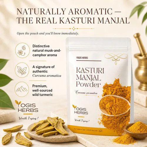 Vista 3 de YOGIS HERBS MANJAL KASTURI Premium Powder (Curcuma Aromatica/Cúrcuma Silvestre) Fresco y Puro - 8.82 oz - Para Baño, Belleza y Cuidado de la Piel