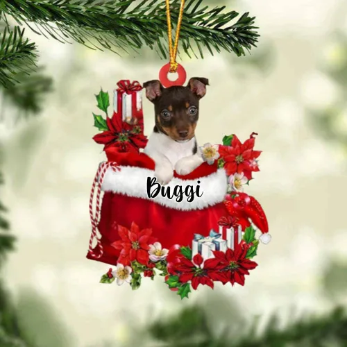 Vista 24 de Perro Akita Inu personalizado en bolsa de regalo, adorno de Navidad, nombre personalizado, regalo para amantes de los perros, familia, Navidad