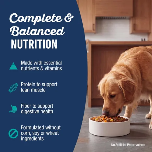 Vista 6 de Natural Balance Comida húmeda para perros recién cocinada, comida casera para mascotas, cocinada suavemente en caldo de huesos, hecha