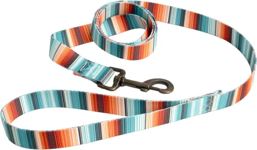 Vista 15 de Country Brook Design® Correa para perro Native Arizona de 1 pulgada - 6 pies Arizona nativa