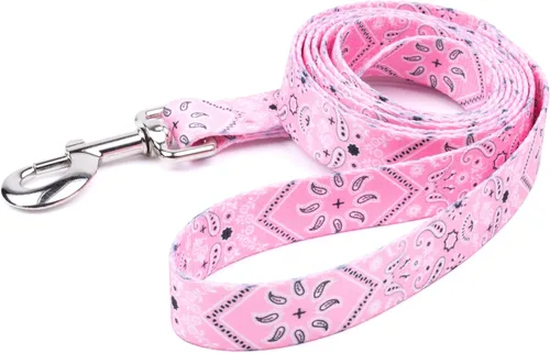Vista 6 de Country Brook Design® Correa para perro Native Arizona de 1 pulgada - 6 pies Arizona nativa