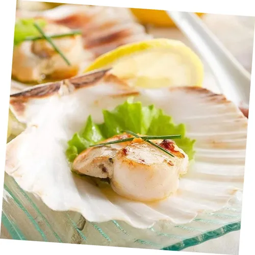 Vista 9 de Healifty Platos de concha de vieira 10 piezas de decoración natural de conchas para decoración de barbacoa de cena