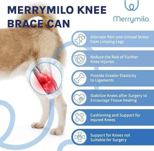 Vista 2 de Rodillera para perro para desgarro del ligamento cruzado anterior para lesiones de ligamentos y alivio del dolor en las articulaciones, tamaño: L