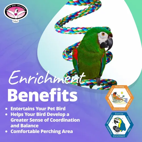 Vista 5 de Super Bird Creations - SB326 Juguete Bungee de pájaro grande a XL - Percha de cuerda para Amazonas, grises africanos, cacatúas, loros - Perca
