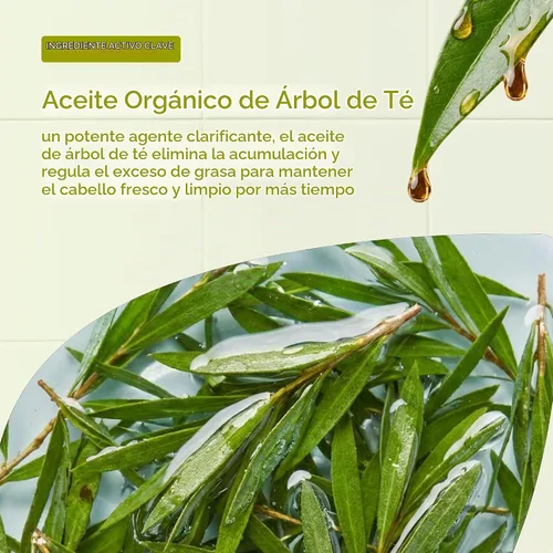 Vista 4 de Organic Doctor Árbol de té, champú, 9 onzas líquidas