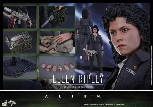 Vista 7 de Hot Toys 1979 Alien Ellen Ripley Sigourney Weaver Figura escala 1/6
