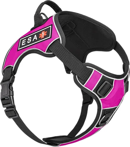 Vista 23 de Dogline Quest Arnés para perro sin tirones con parches reflectantes extraíbles para perro, reflectante, suave, cómodo, chaleco para perro con Azteca