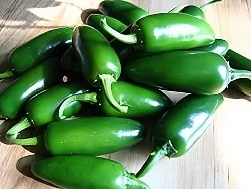 Vista 3 de Pimienta caliente Jalapeno Semillas de hortalizas de M Great Heirloom por semillas Unido