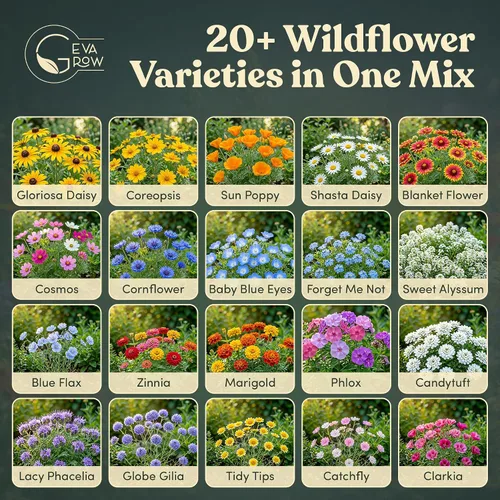 Vista 3 de Agitador de semillas de flores silvestres – Mezcla anual de GevaGrow 17 variedades de semillas de flores para plantar en macetas y jardines al