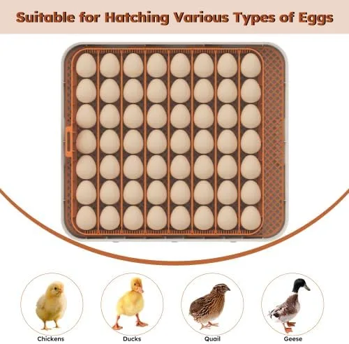 Vista 8 de Incubadora de 56 huevos con giro automático de huevos y control de humedad, visualización de 360°, incubadora de pollo para incubar huevos de pato