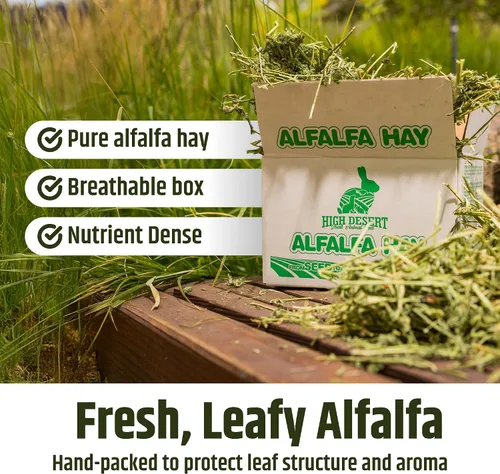 Vista 6 de High Desert Heno de alfalfa, alimento de hojas blandas rico en proteínas para animales jóvenes en crecimiento, alimento natural para conejos y heno
