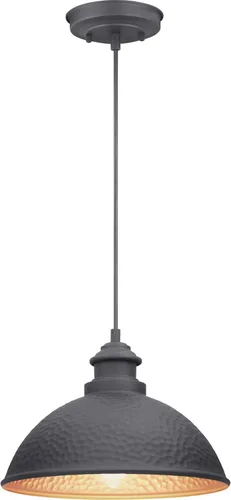 Vista 2 de Progress Lighting Englewood Collection - Farol colgante para exteriores con 1 luz, color negro