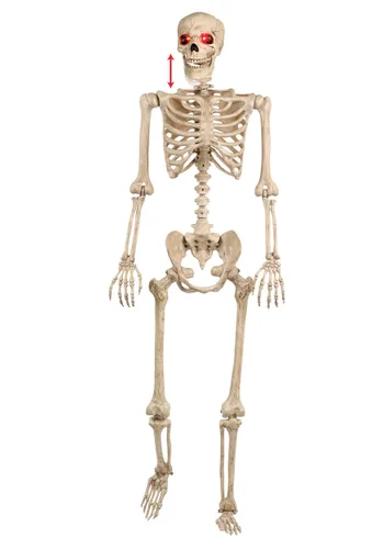 Vista 3 de Decoración animada de esqueleto humano posable Mr. Crazy Bonez de 5 pies Multicolor