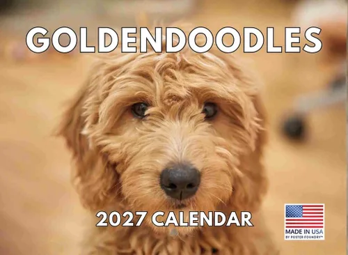 Vista 33 de Calendario mensual de pared Airedale Terrier Dog 2027