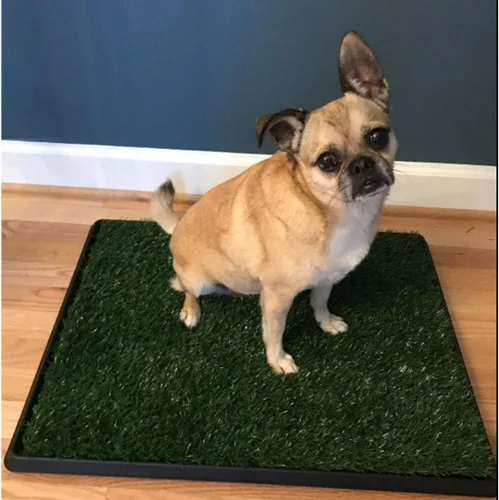 Vista 8 de LOMANTOWN Orinal de césped para interiores, almohadilla reutilizable de hierba para perros con bandeja, caja de arena para perros de 25 x 20