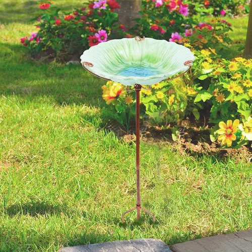 Vista 6 de Baño de cristal para pájaros, comedero verde para pájaros