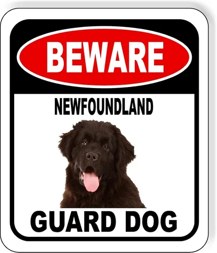 Vista 48 de BEWARE BASSETT HOUND GUARD DOG - Letrero compuesto de aluminio para exteriores, 8.5 x 10 pulgadas CUIDADO BASSETT HOUND GUARD PERRO