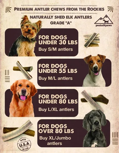 Vista 4 de peaksNpaws Cuernos de alce enteros de grado A totalmente naturales de alta calidad para perros, sin aditivos, sin conservantes, fabricadas