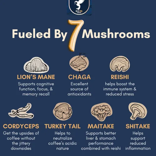 Vista 4 de Bleu Owl Instant Organic Mushroom Coffee - 7 Superfood Mushrooms for Gut Health Energy & Clarity - Arabica 35 servings, 2.5oz. - Lion’s Mane Chaga
