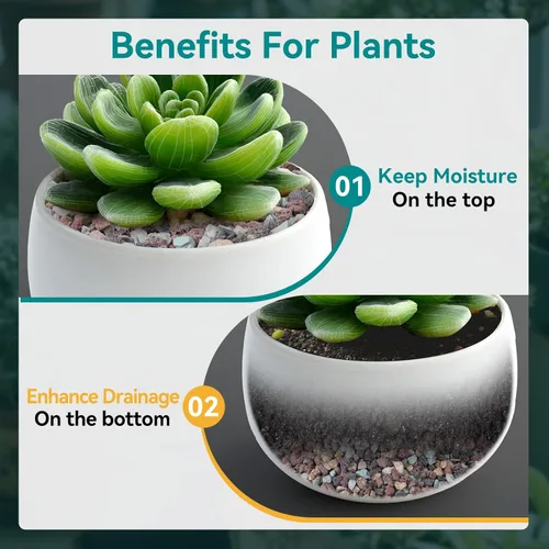 Vista 3 de Rocas de lava hortícola de 6 libras para plantas, rocas de cactus suculentas de 3/8 pulgadas