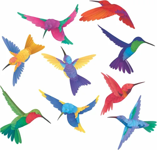Vista 7 de 4 adhesivos para ventanas de colibrí para seguridad de vidrio en puertas, ventanas y paneles. Calcomanías para evitar golpes de pájaros. Fabricado