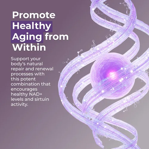 Vista 6 de Neurogan Cápsulas NMN + Resveratrol – Salud celular y apoyo energético – 1200 mg de mononucleótido de nicotinamida y trans-resveratrol por porción