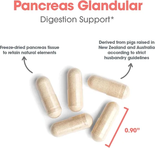 Vista 5 de Allergy Research Group ARG Pancreas Natural Glandular – Apoya la actividad saludable del páncreas, inmune y digestiva – 425 mg por porción – Tejido