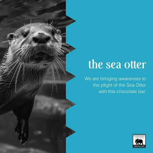 Vista 5 de Barra de chocolate con leche en peligro de extinción (48% de cacao)