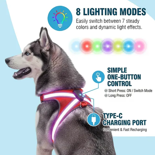 Vista 4 de Arnés reflectante con correa para perro con iluminación LED, chaleco de seguridad iluminado para perro