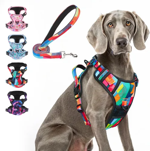 Vista 22 de BEAUTYZOO Arnés para perro sin tirones pequeño, juego de arnés y correa ajustable para perro - Fácil de usar con 3 hebillas/mango de control, arnés