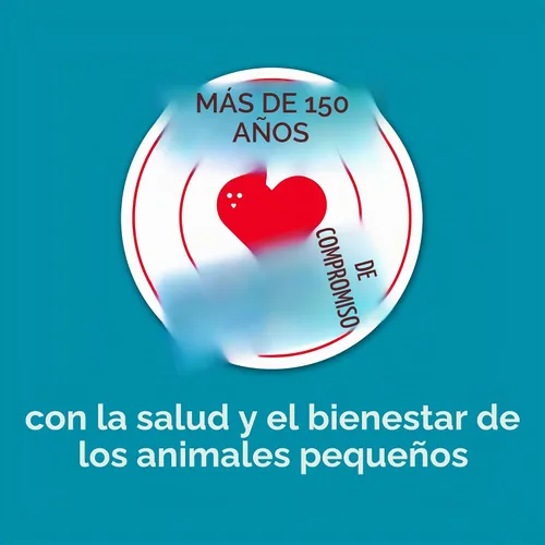 Vista 10 de Alimento Kaytee para cobayas modelo Forti Diet Pro Health Supports digestive health. Daily food for guinea pigs. Guinea pig pellets, prebiotics