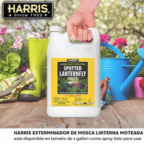 Vista 5 de Harris Spotted Lantern - Matamoscas antimoscas, inodoro y no mancha, listo para usar, 128 onzas