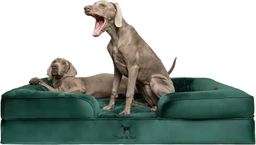 Vista 23 de NOAH & PAW Cama para perros pequeños, 20 x 15 x 8 pulgadas, cama para gatos de interior, espuma viscoelástica ortopédica de cáscara de huevo