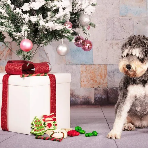 Vista 9 de MON2SUN 12 unidades de golosinas navideñas de cuero crudo para perros pequeños