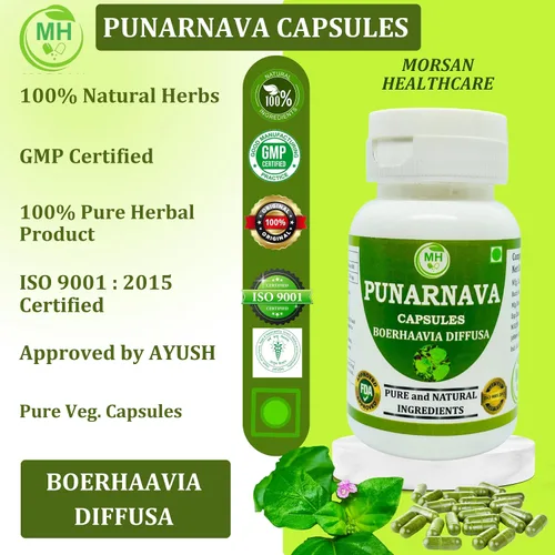 Vista 8 de Morsan Healthcare Punarnava Cápsulas – Paquete de 2 cápsulas vegetales de 60 x 500 mg Boerhaavia Diffusa Hierba ayurvédica 100% natural