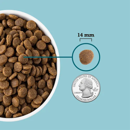 Vista 5 de ACANA Alimento seco sin granos para perros Receta de pescado de agua dulce Bolsa de 25 libras