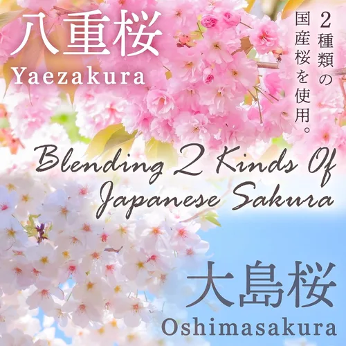 Vista 7 de YAMASAN KYOTO UJI Sakura Latte -Espuma Cremosa y Aromática- Usando Flor de Cerezo Japonesa 100%, Hecho en Japón, Vendido por empresa japonesa, 100g