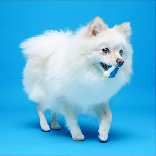 Vista 7 de Hartz Chew 'n Clean Tuff Bone - Juguete masticable resistente para perros, grande, paquete de 3 Varía