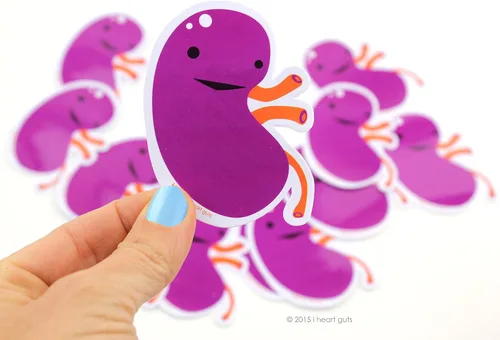 Vista 6 de I Heart Guts Comparte tus riñones pegatinas – Paquete de 15 calcomanías de vinilo para la conciencia de la enfermedad renal, guerreros