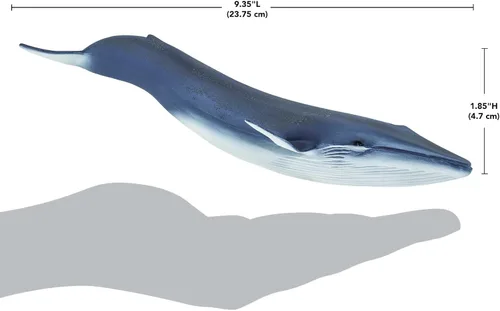 Vista 3 de Safari Ltd. Figura de ballena azul, figura detallada de plástico de 11 pulgadas, divertido juguete educativo para niños, niñas y niños a partir de 3