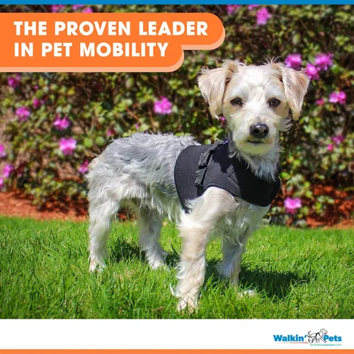 Vista 7 de Arnés delantero para perro Arnés sin tirones Diseñado para perros pequeños con pechos anchos Compatible con silla de ruedas para perros