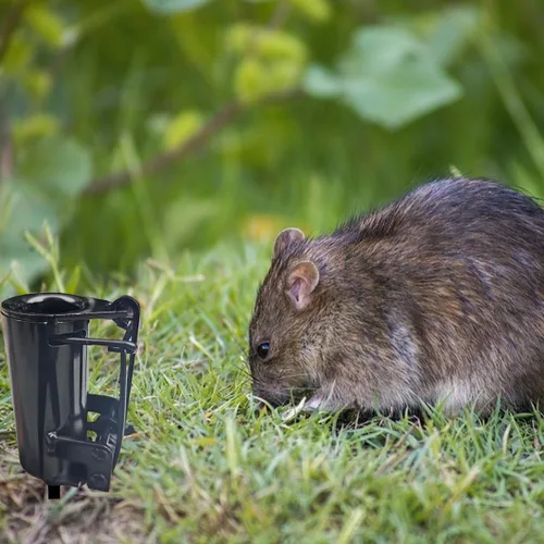 Vista 5 de Humane Raccoon & Small Animal Trap, Spring Trap with Dog-Safe Trigger