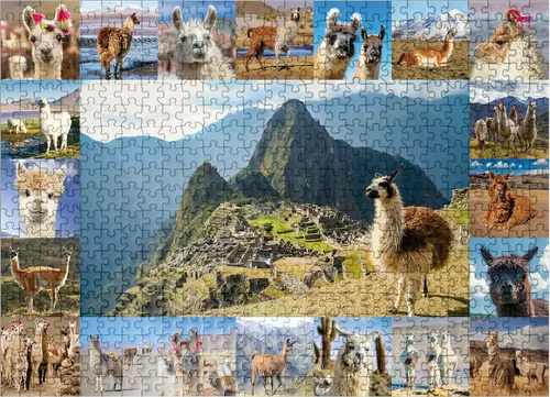 Vista 7 de MyPuzzle Llamas and Alpacas - Collage - Rompecabezas prémium de 100 piezas para adultos