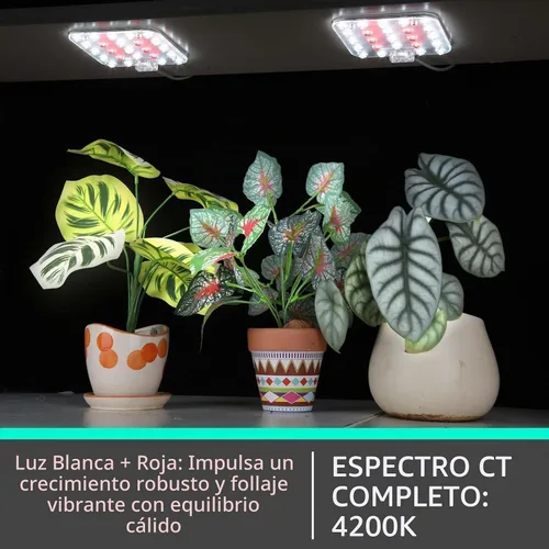 Vista 2 de Luz de cultivo para debajo del estante, temporizador automático, regulable, blanco perla, paquete de 1 Blanco (SP completo)